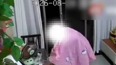 电竞战队新加盟，星新游热力开售